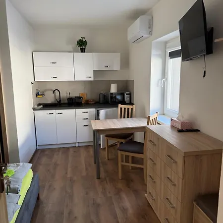Modry Jelen 3* Vidnava