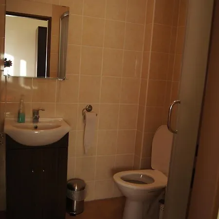Guest house Modry Jelen