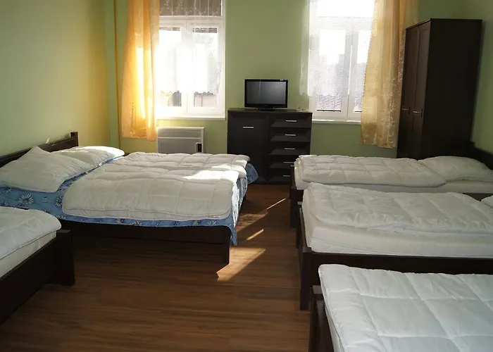 Modry Jelen Vidnava
