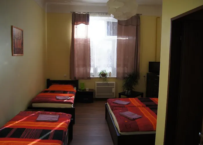Modry Jelen Vidnava